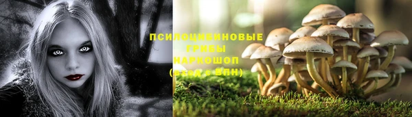 apvp Аркадак