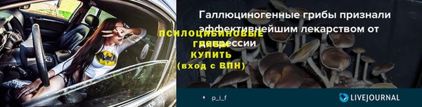 ГАЛЛЮЦИНОГЕННЫЕ ГРИБЫ Арсеньев