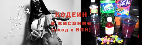 ГАЛЛЮЦИНОГЕННЫЕ ГРИБЫ Арсеньев