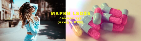 apvp Аркадак