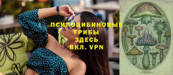apvp Аркадак