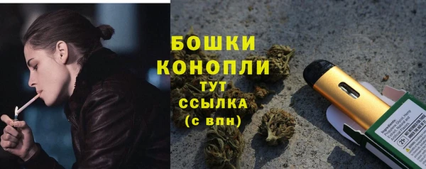 ГАЛЛЮЦИНОГЕННЫЕ ГРИБЫ Арсеньев
