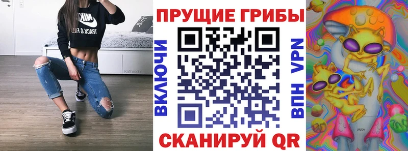 Галлюциногенные грибы Psilocybe  сайты даркнета Telegram  Таштагол  ОМГ ОМГ ссылка 